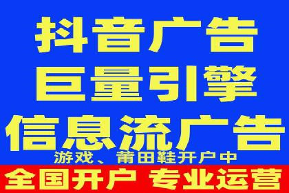 百度竞价广告投放全解析：成功案例揭秘
